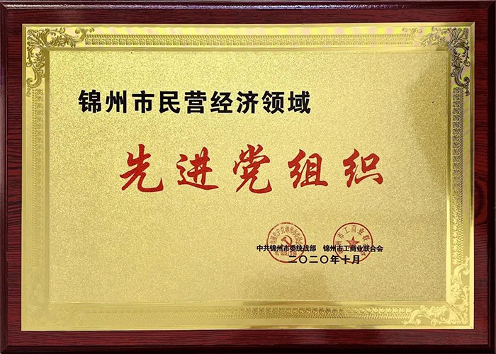 中共锦州市滨海电商行业协会/锦州滨海电子商务产业基地股份有限公司党支部荣获“先进党组织”称号