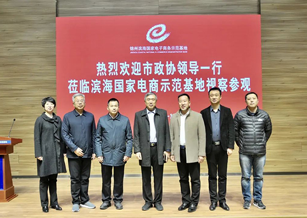 市政协康杰副主席一行莅临滨海国家电商示范基地视察参观